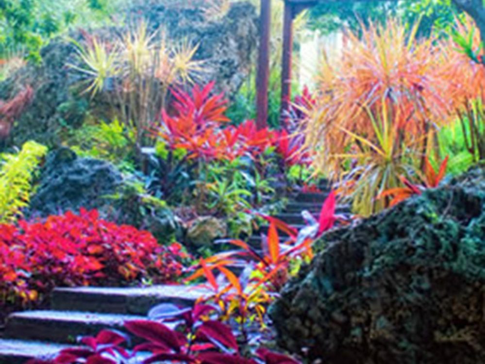 Image related to Botanical Flower Gardens