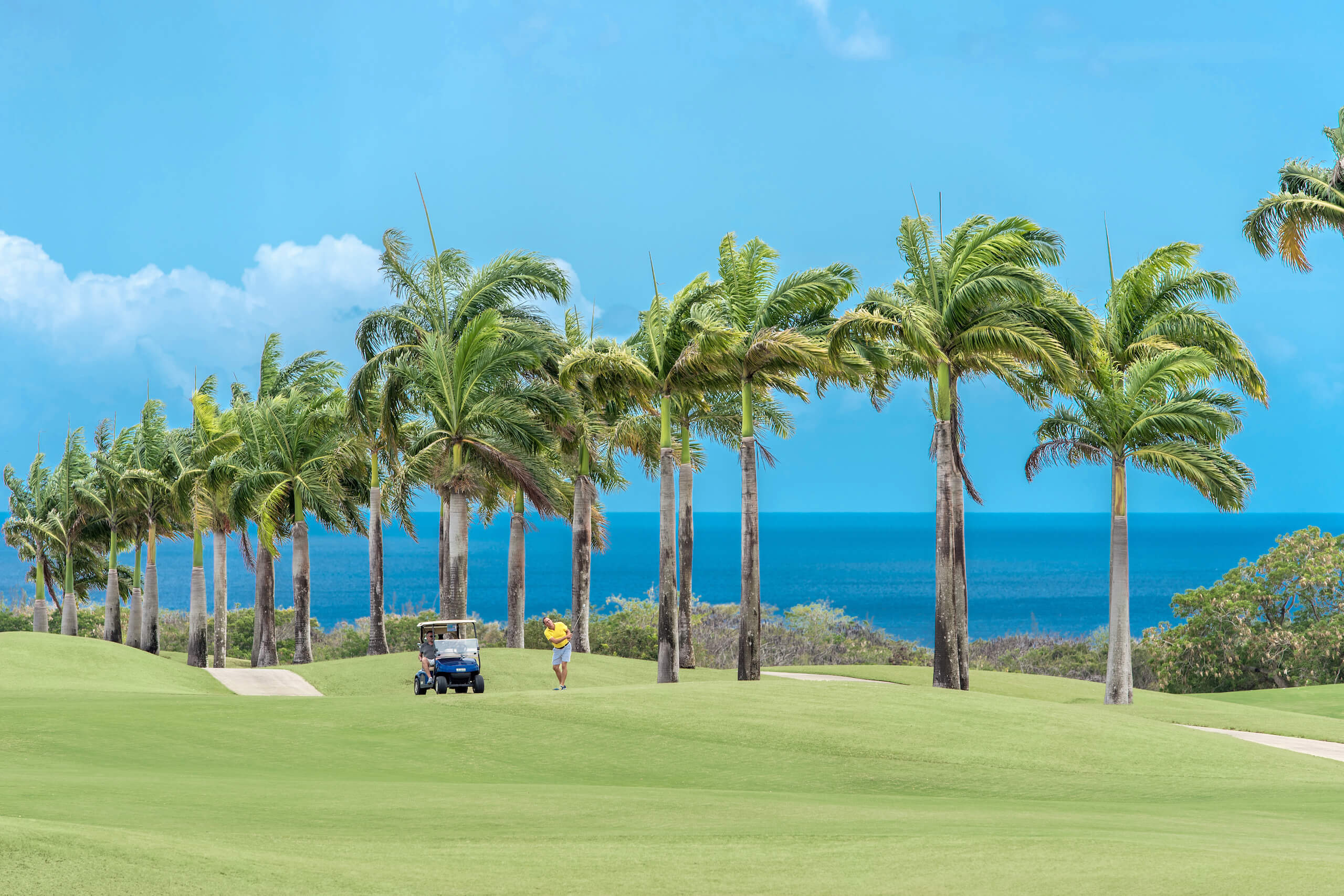 Royal Westmoreland Golf