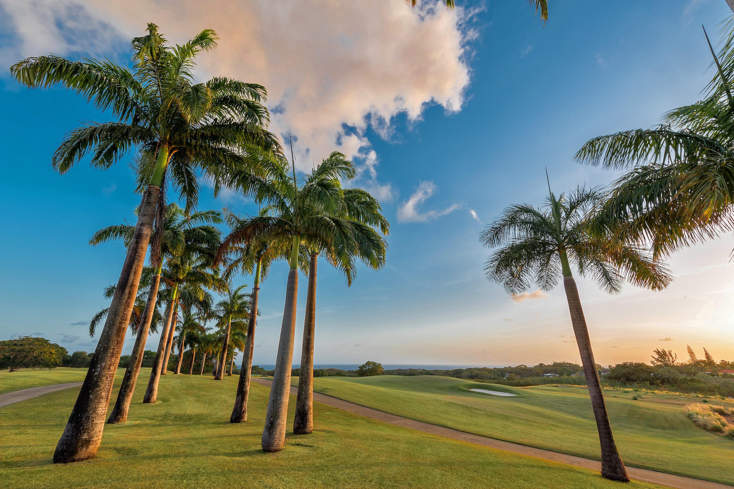 Royal Westmoreland Golf