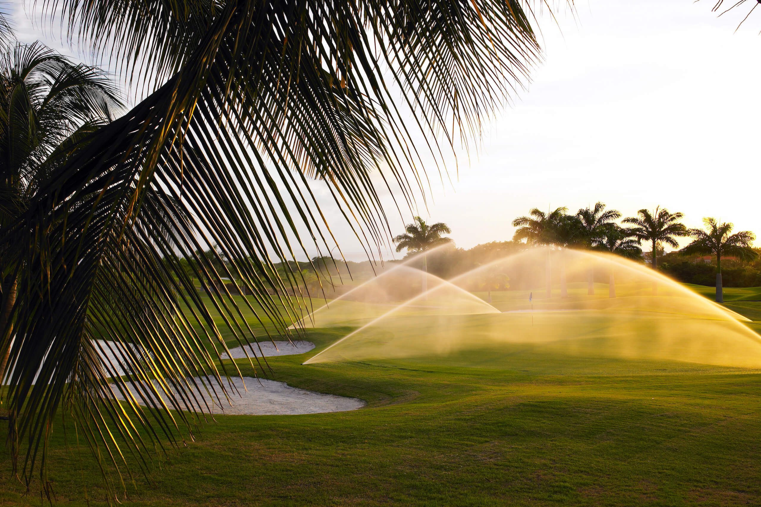 Royal Westmoreland Golf