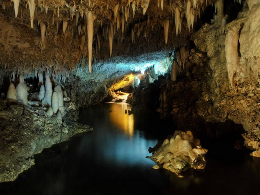 Image related to Harrison’s Cave