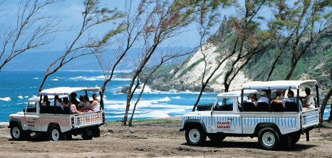 Image related to Island Safari