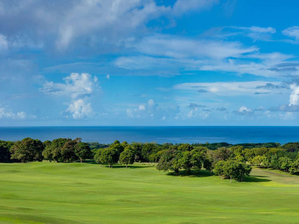 Image related to Ocean View