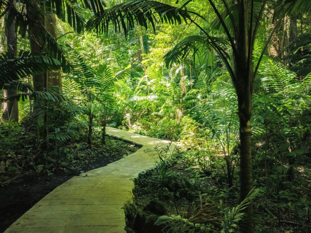 Image related to Welchman Hall Gully