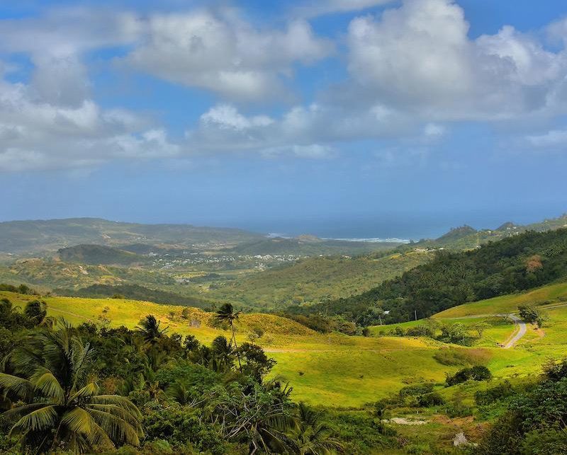 Barbados or Britain?