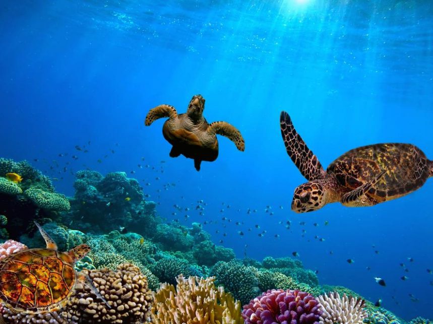 Ten Of The Best Free Days Out In Barbados