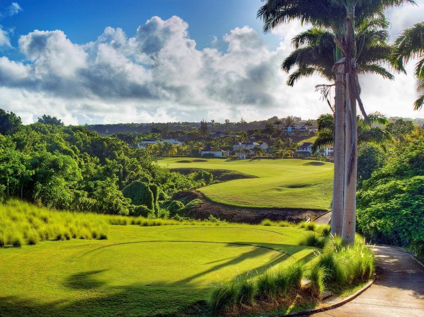 Barbados: A hidden gem for wildlife and natural beauty