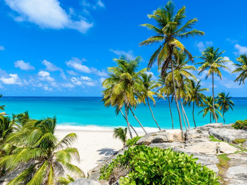 8 Things You Never Thought Of Doing In Barbados