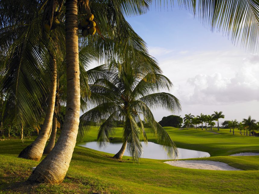 Upcoming Golf competitions at Royal Westmoreland